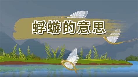 蜉蝣在世意思|蜉蝣